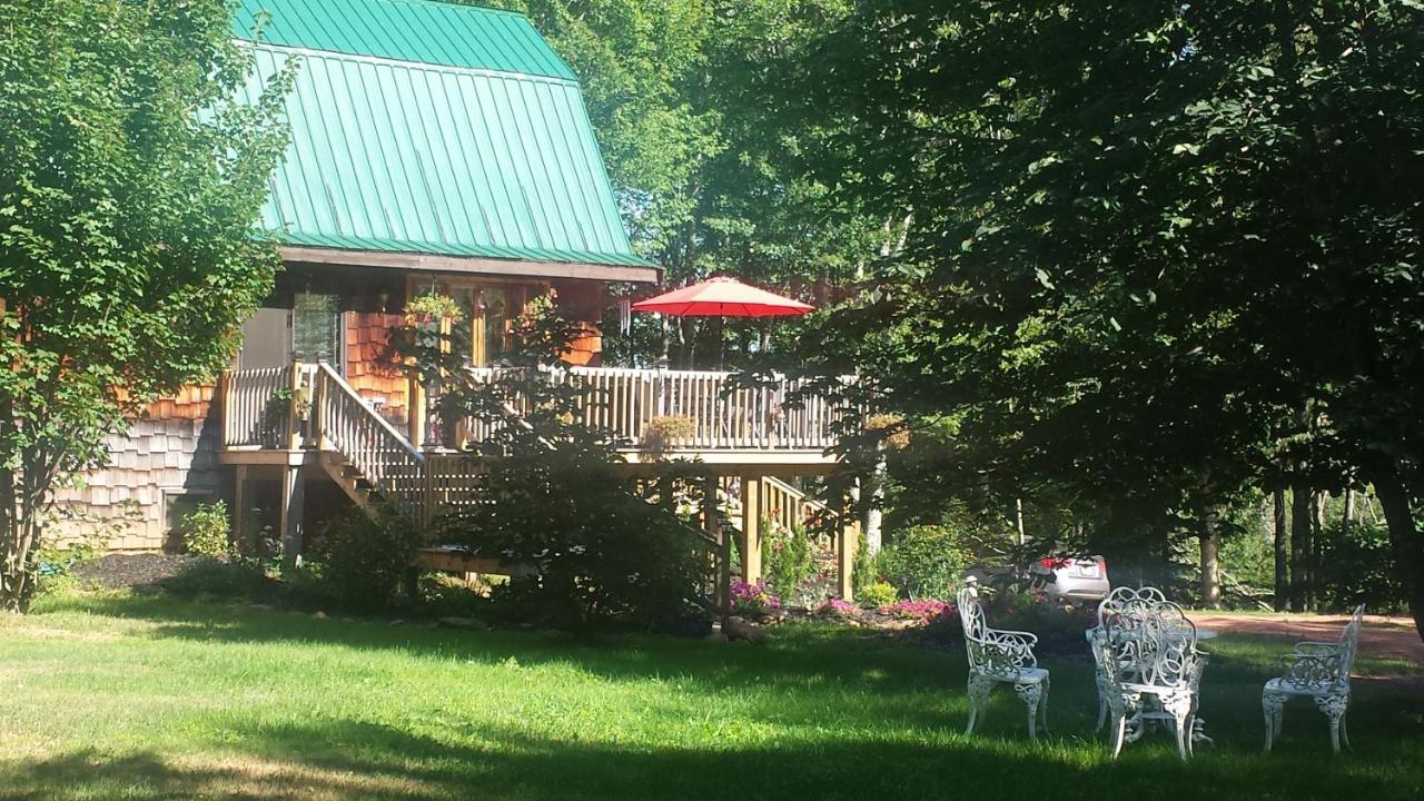 Chestnut Lane Bed And Breakfast Hunter River Esterno foto