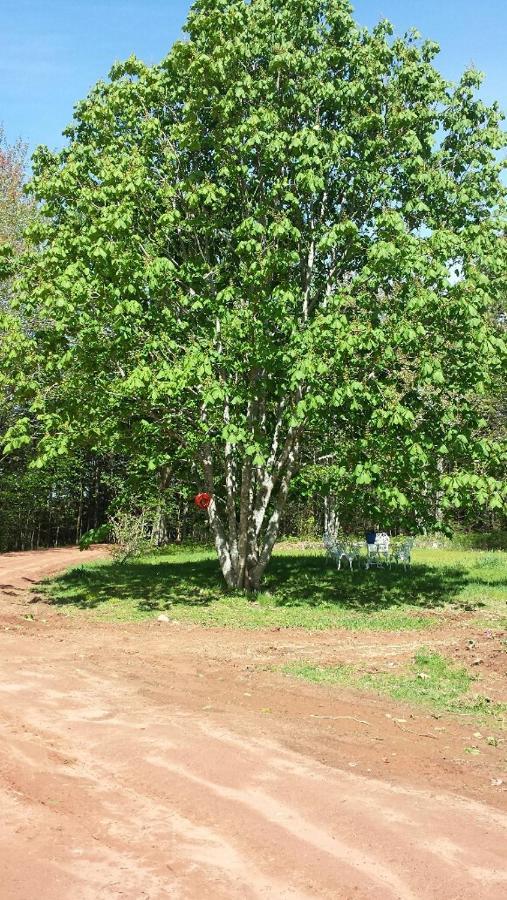 Chestnut Lane Bed And Breakfast Hunter River Esterno foto